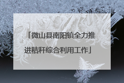 微山县南阳镇全力推进秸秆综合利用工作