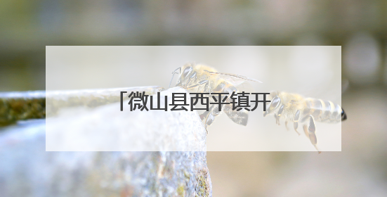 微山县西平镇开展防范涉农非法金融宣传活动