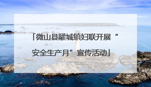 微山县驩城镇妇联开展“安全生产月”宣传活动