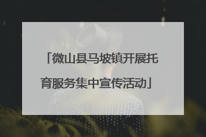 微山县马坡镇开展托育服务集中宣传活动