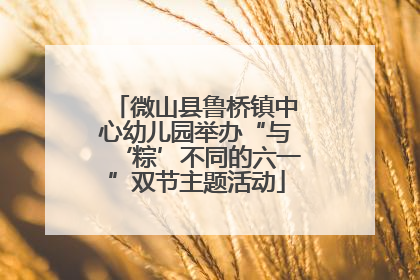 微山县鲁桥镇中心幼儿园举办“与‘粽’不同的六一”双节主题活动