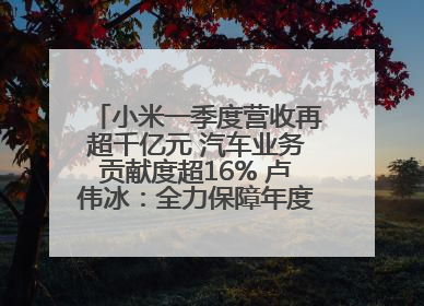 小米一季度营收再超千亿元 汽车业务贡献度超16% 卢伟冰：全力保障年度交付目标实现