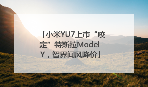 小米YU7上市“咬定”特斯拉Model Y，智界闻风降价