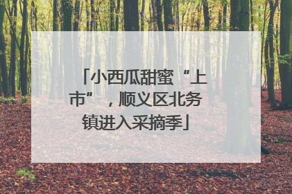 小西瓜甜蜜“上市”，顺义区北务镇进入采摘季
