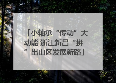 小轴承“传动”大动能 浙江新昌“拼”出山区发展新路