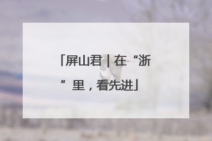 屏山君｜在“浙”里，看先进