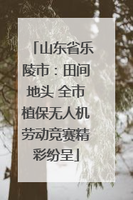 山东省乐陵市：田间地头 全市植保无人机劳动竞赛精彩纷呈