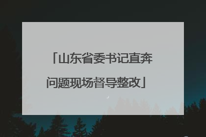 山东省委书记直奔问题现场督导整改