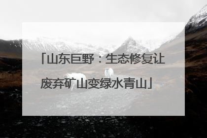 山东巨野：生态修复让废弃矿山变绿水青山