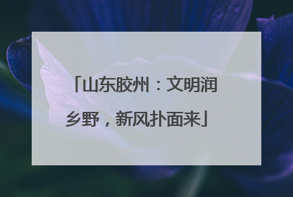 山东胶州：文明润乡野，新风扑面来