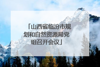 山西省临汾市规划和自然资源局党组召开会议