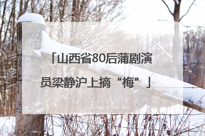 山西省80后蒲剧演员梁静沪上摘“梅”