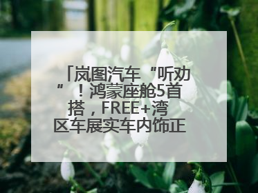 岚图汽车“听劝”！鸿蒙座舱5首搭，FREE+湾区车展实车内饰正式曝光