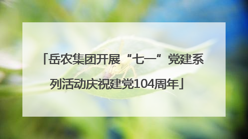 岳农集团开展“七一”党建系列活动庆祝建党104周年