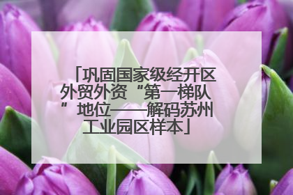 巩固国家级经开区外贸外资“第一梯队”地位——解码苏州工业园区样本