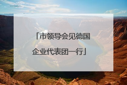 市领导会见德国企业代表团一行