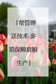 帮管理 送技术 多措保障夏粮生产