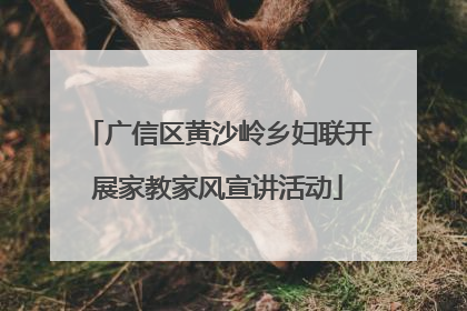 广信区黄沙岭乡妇联开展家教家风宣讲活动