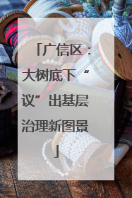 广信区：大树底下“议”出基层治理新图景