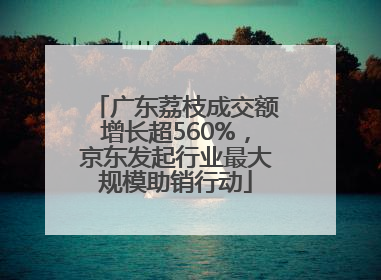 广东荔枝成交额增长超560%，京东发起行业最大规模助销行动