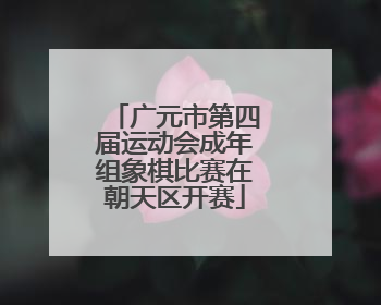 广元市第四届运动会成年组象棋比赛在朝天区开赛
