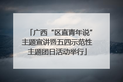 广西“区直青年说”主题宣讲暨五四示范性主题团日活动举行