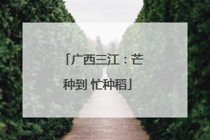 广西三江：芒种到 忙种稻