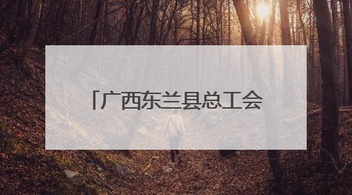 广西东兰县总工会情暖童心呵护成长