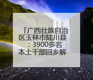 广西壮族自治区玉林市陆川县：3900多名本土干部回乡解纷促和