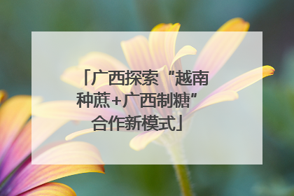 广西探索“越南种蔗+广西制糖”合作新模式