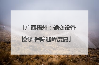 广西梧州：输变设备检修 保障迎峰度夏