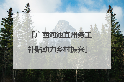广西河池宜州务工补贴助力乡村振兴