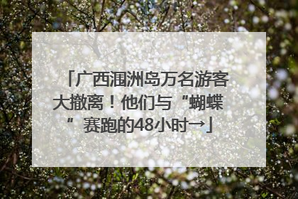 广西涠洲岛万名游客大撤离！他们与“蝴蝶”赛跑的48小时→