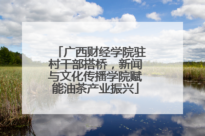 广西财经学院驻村干部搭桥，新闻与文化传播学院赋能油茶产业振兴