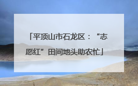 平顶山市石龙区：“志愿红”田间地头助农忙