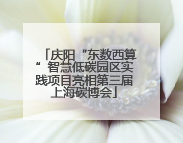 庆阳“东数西算”智慧低碳园区实践项目亮相第三届上海碳博会