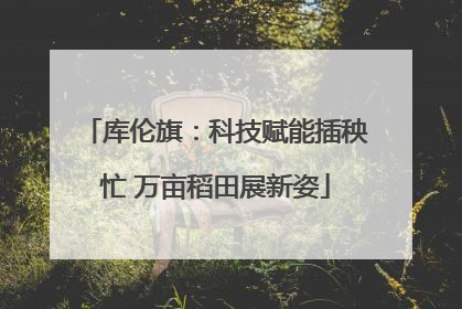 库伦旗：科技赋能插秧忙 万亩稻田展新姿