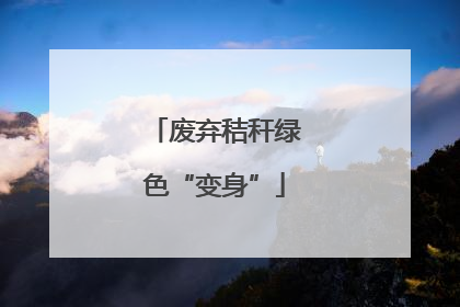 废弃秸秆绿色“变身”