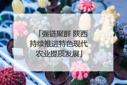 强链聚群 陕西持续推进特色现代农业提质发展