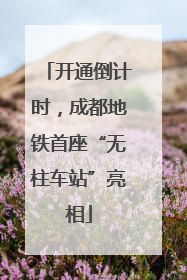 开通倒计时，成都地铁首座“无柱车站”亮相