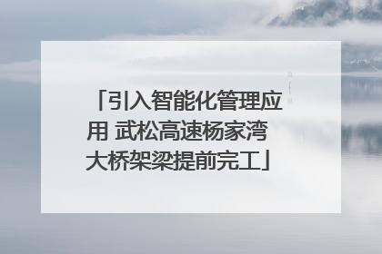 引入智能化管理应用 武松高速杨家湾大桥架梁提前完工