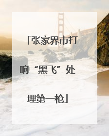 张家界市打响“黑飞”处理第一枪
