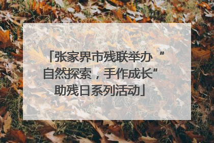 张家界市残联举办“自然探索，手作成长”助残日系列活动