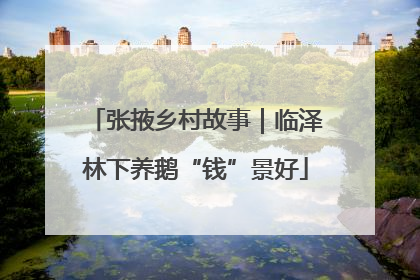 张掖乡村故事｜临泽林下养鹅“钱”景好
