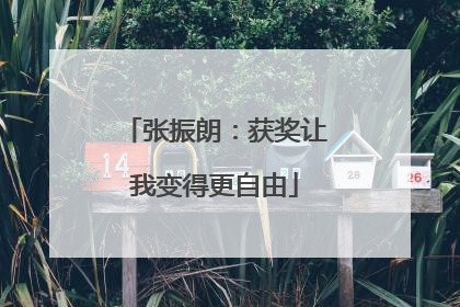 张振朗：获奖让我变得更自由