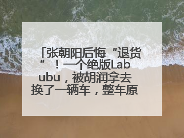 张朝阳后悔“退货”！一个绝版Labubu，被胡润拿去换了一辆车，整车原价值上百万元