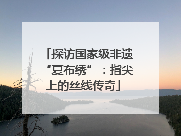 探访国家级非遗“夏布绣”：指尖上的丝线传奇