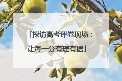 探访高考评卷现场：让每一分有理有据