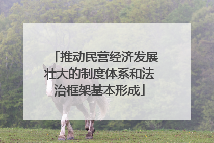 推动民营经济发展壮大的制度体系和法治框架基本形成