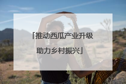 推动西瓜产业升级 助力乡村振兴